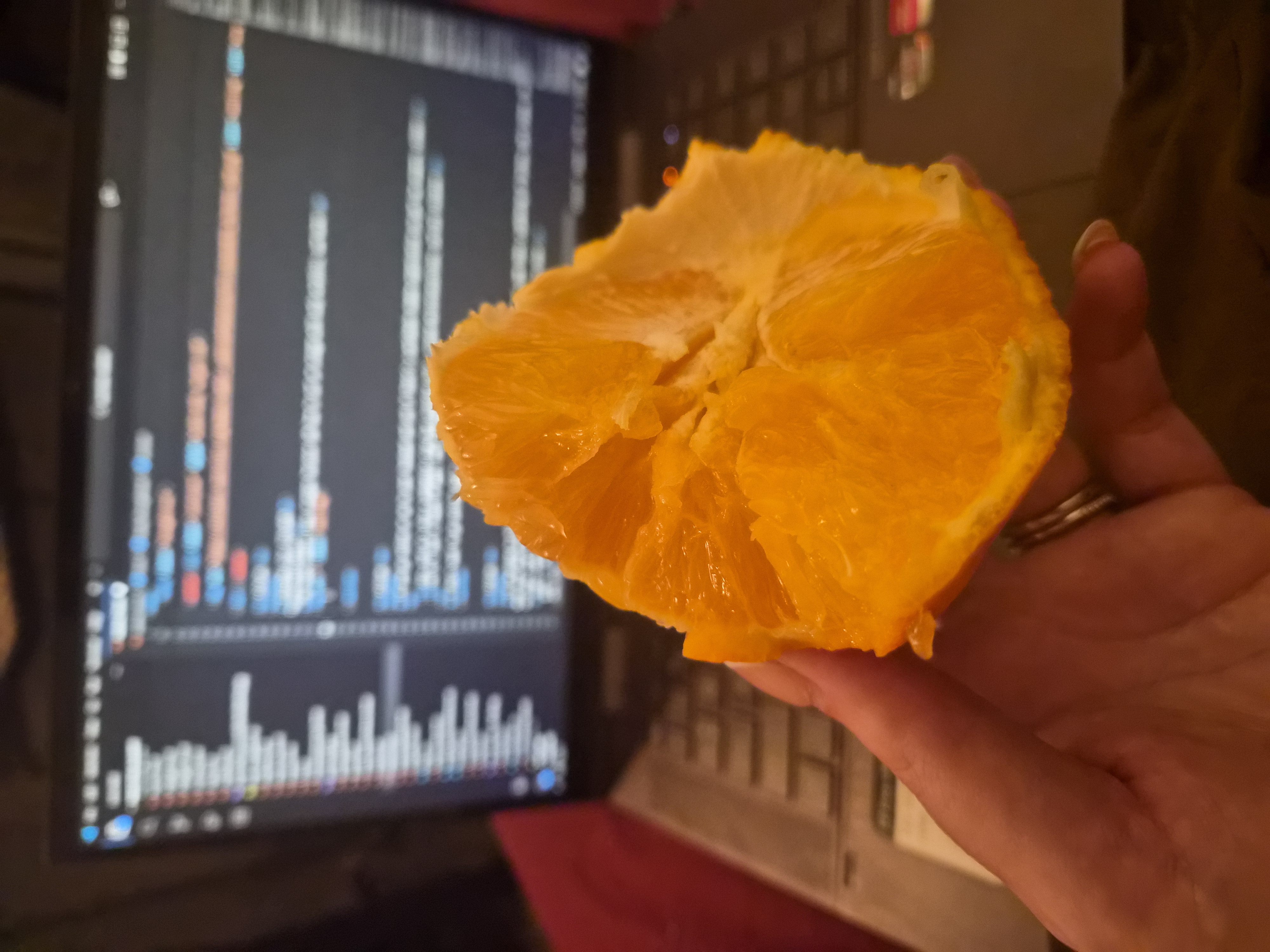 a big fucking orange with a hole in it